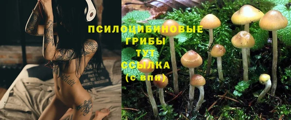 MESCALINE Бородино